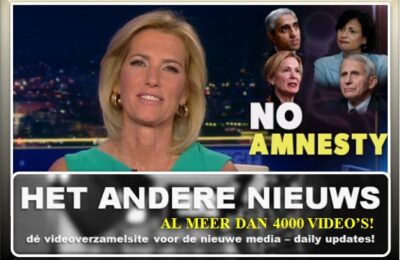 Fox News: No Amnesty!